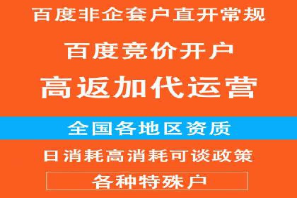 竞价排名的投放策略与效果评估案例